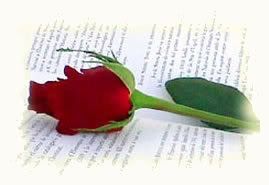 Rosa y libro Pictures, Images and Photos