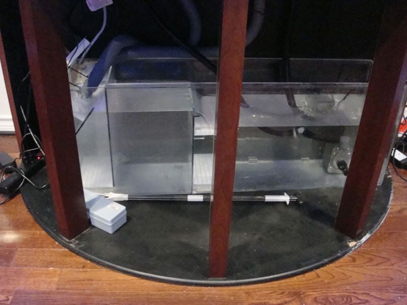 sump-in-stand.jpg