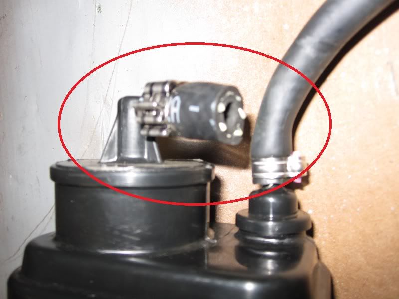 how to remove evap canister Ducati.ms The Ultimate Ducati Forum