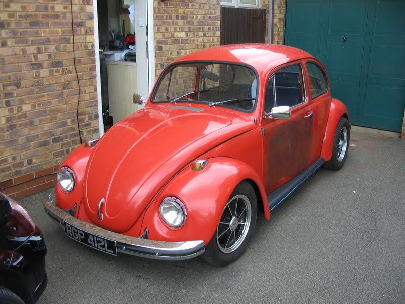 beetle001.jpg