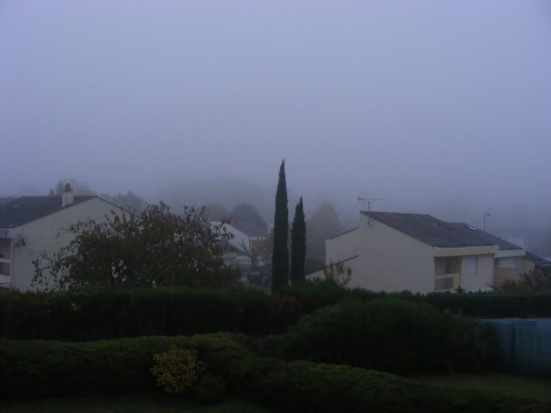 brouillard001.jpg