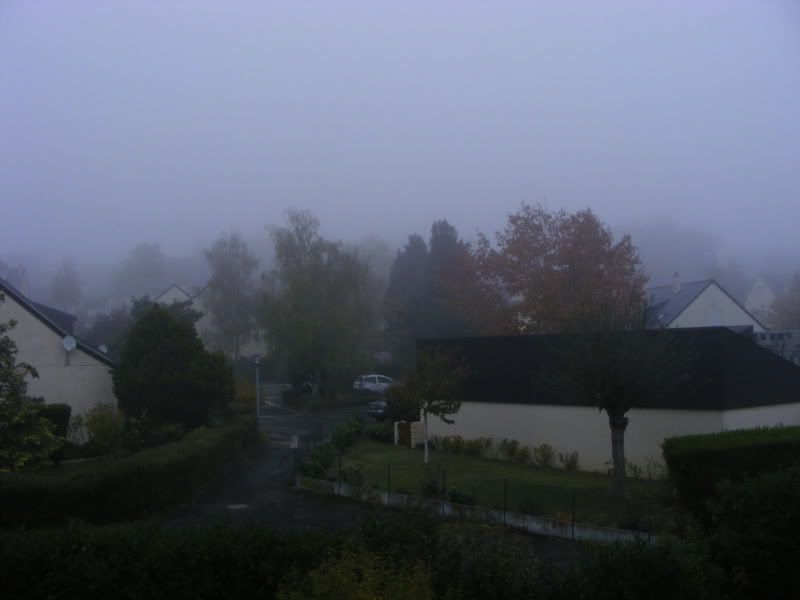 brouillard002.jpg