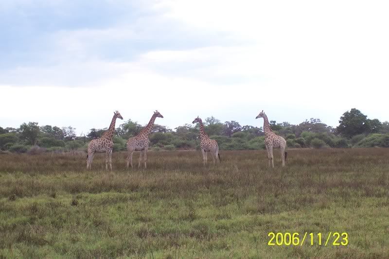 Vahi Hayat Resimleri -2-