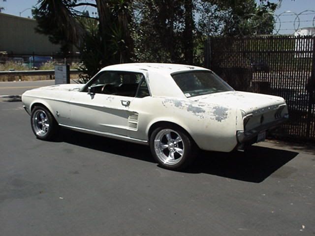 6720mustang20project20stangs