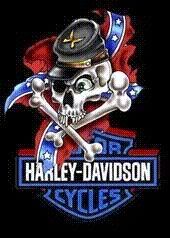 harley attitude Pictures, Images and Photos