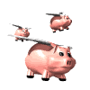 PIGS.gif