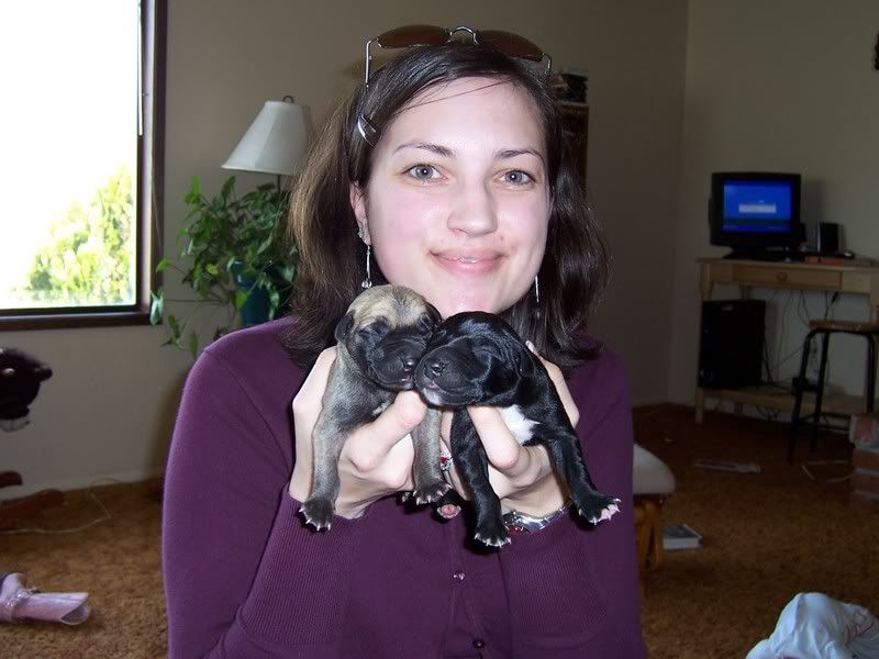 Photo Sharing and Video Hosting at Photobucket