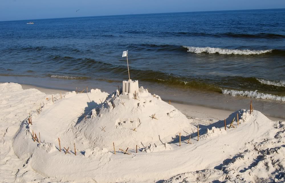 Deniz Resimleri (1. Katalog)