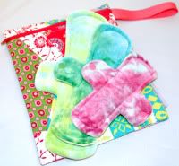 ~*Pretty Patchwork*~ Mama Pad and Wetbag Collab!