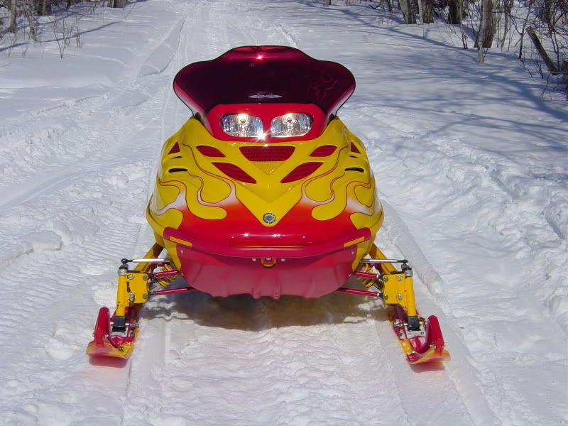 Custom Hoods. SkiDoo Snowmobiles Forum