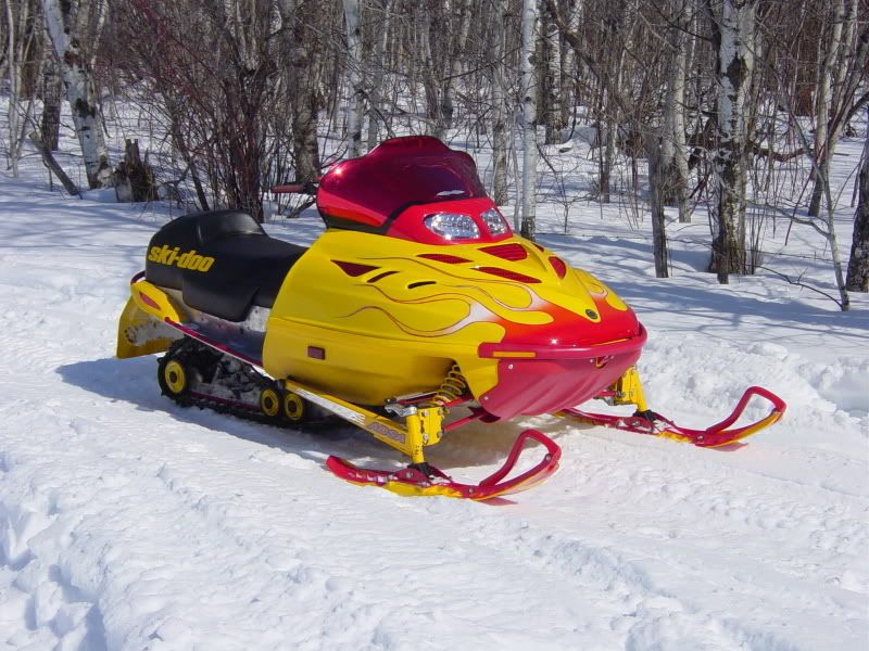 Custom Hoods. SkiDoo Snowmobiles Forum