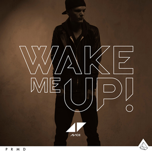  photo Avicii-Wake-Me-Up-2013-1200x1200_zpsa9dd3d9e.png