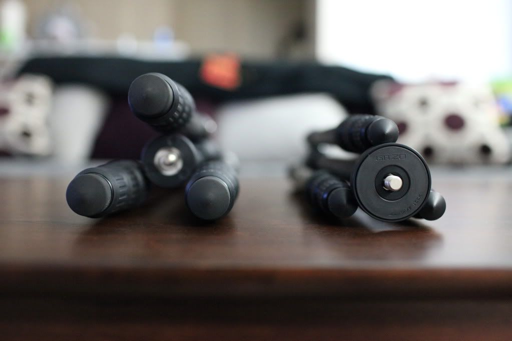 IMAGE: http://i144.photobucket.com/albums/r192/ahero4eternity/Benro%20vs%20Gitzo/a6ae2567.jpg