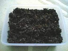 Bunda Adit's Corner: tape ketan item 