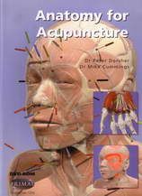 Anatomy for acupuncture