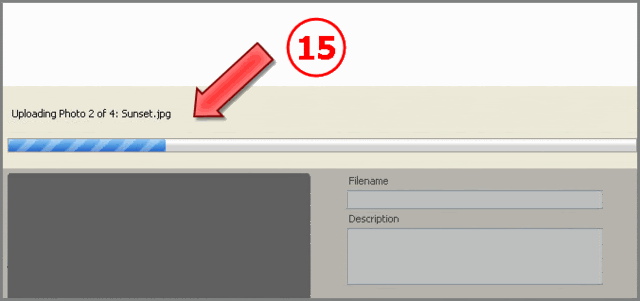 Photobucket - Video and Image Hosting