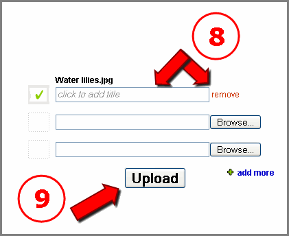 Photobucket - Video and Image Hosting