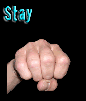 Metal-Sign-1.gif