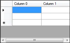 DataGridView Extra Row