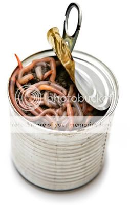 can-of-worms-1.jpg